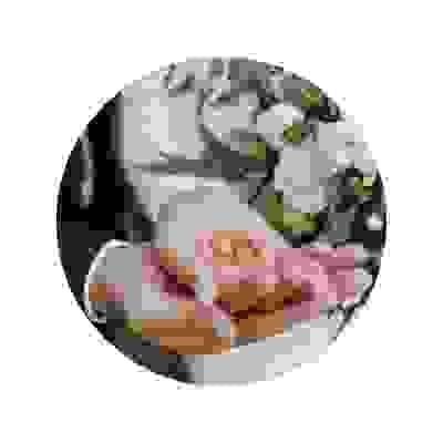 broken image