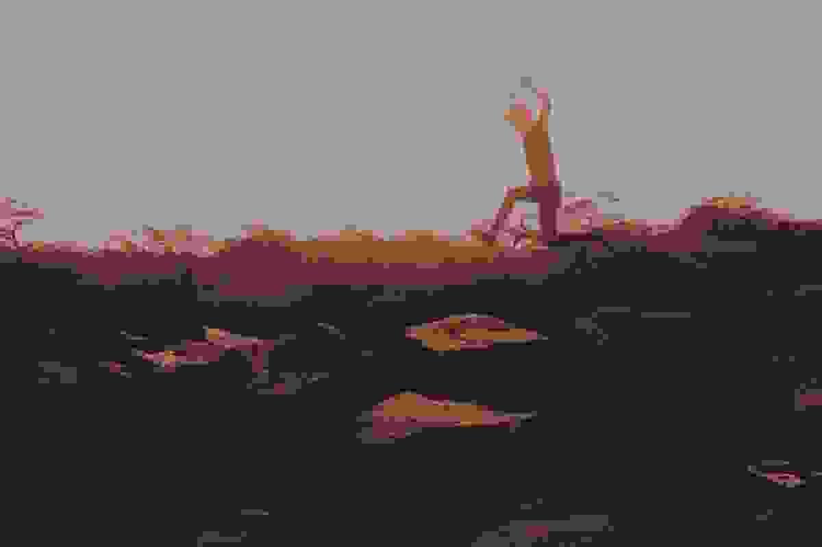 broken image