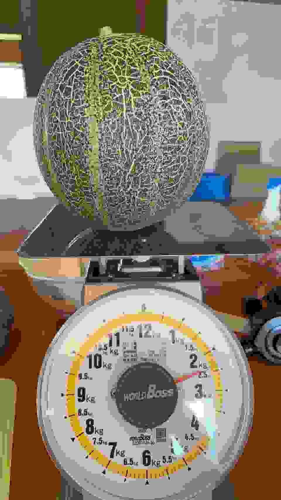 broken image