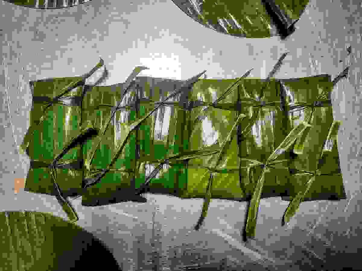 broken image
