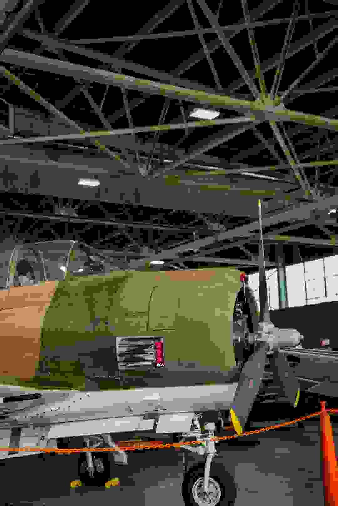 Section image