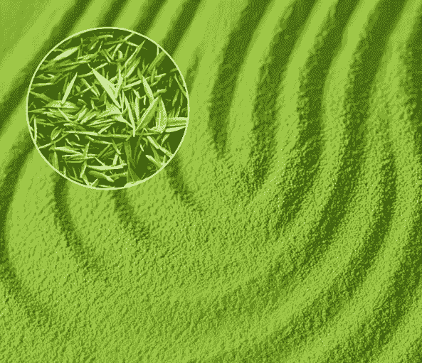 culinary vs ceremonial matcha