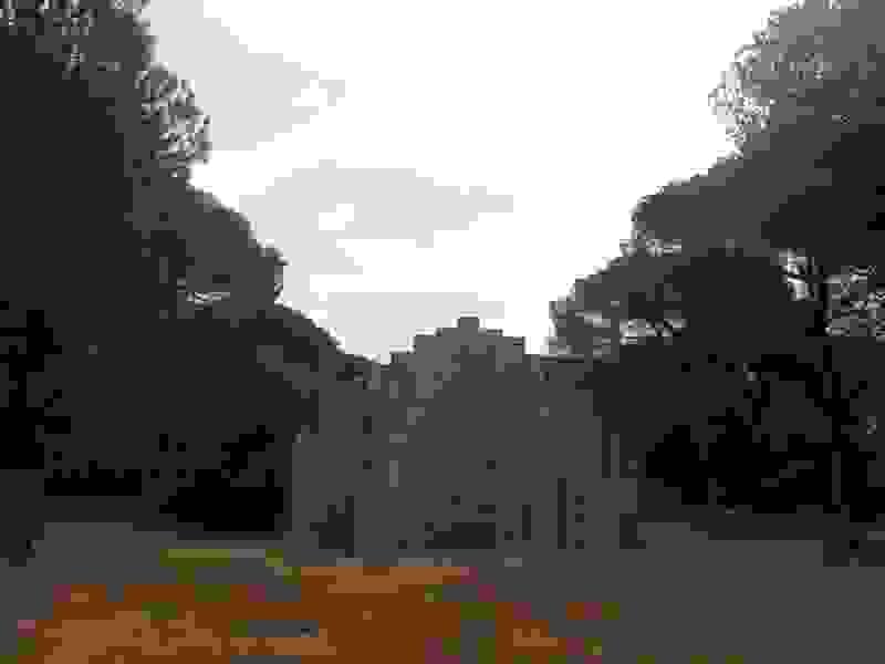 Section image