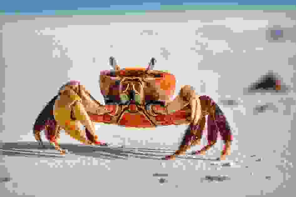 broken image