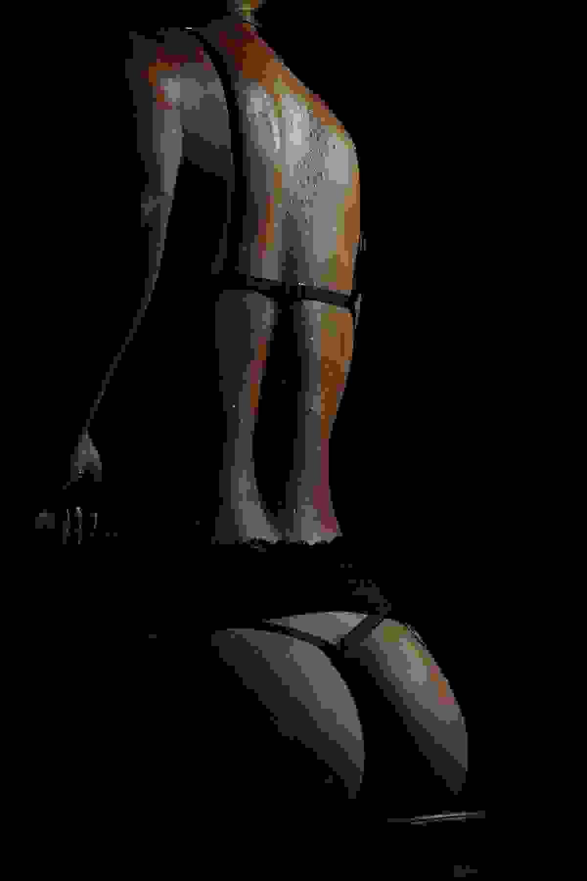 Section image