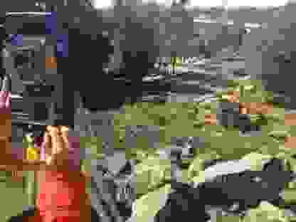 Section image