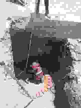 Section image