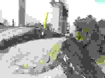 Section image