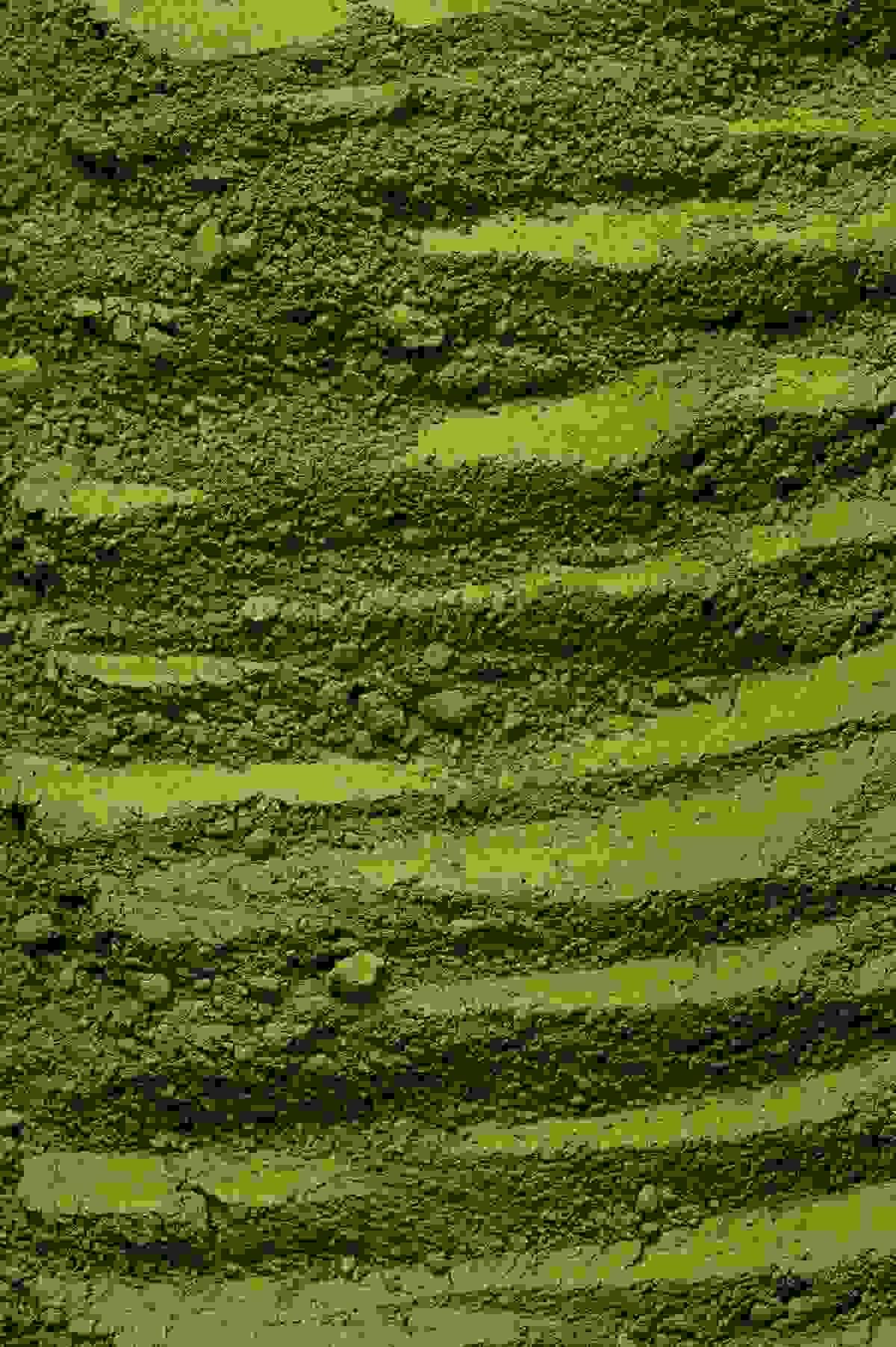 Section image
