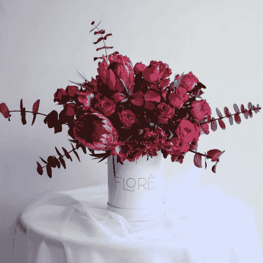 broken image