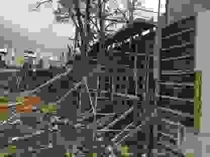 Section image