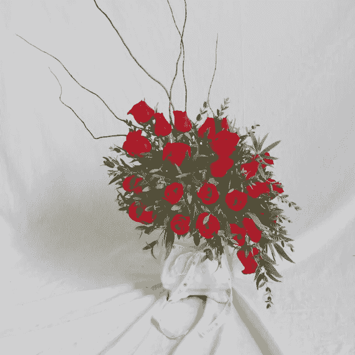 broken image