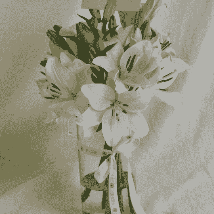 broken image