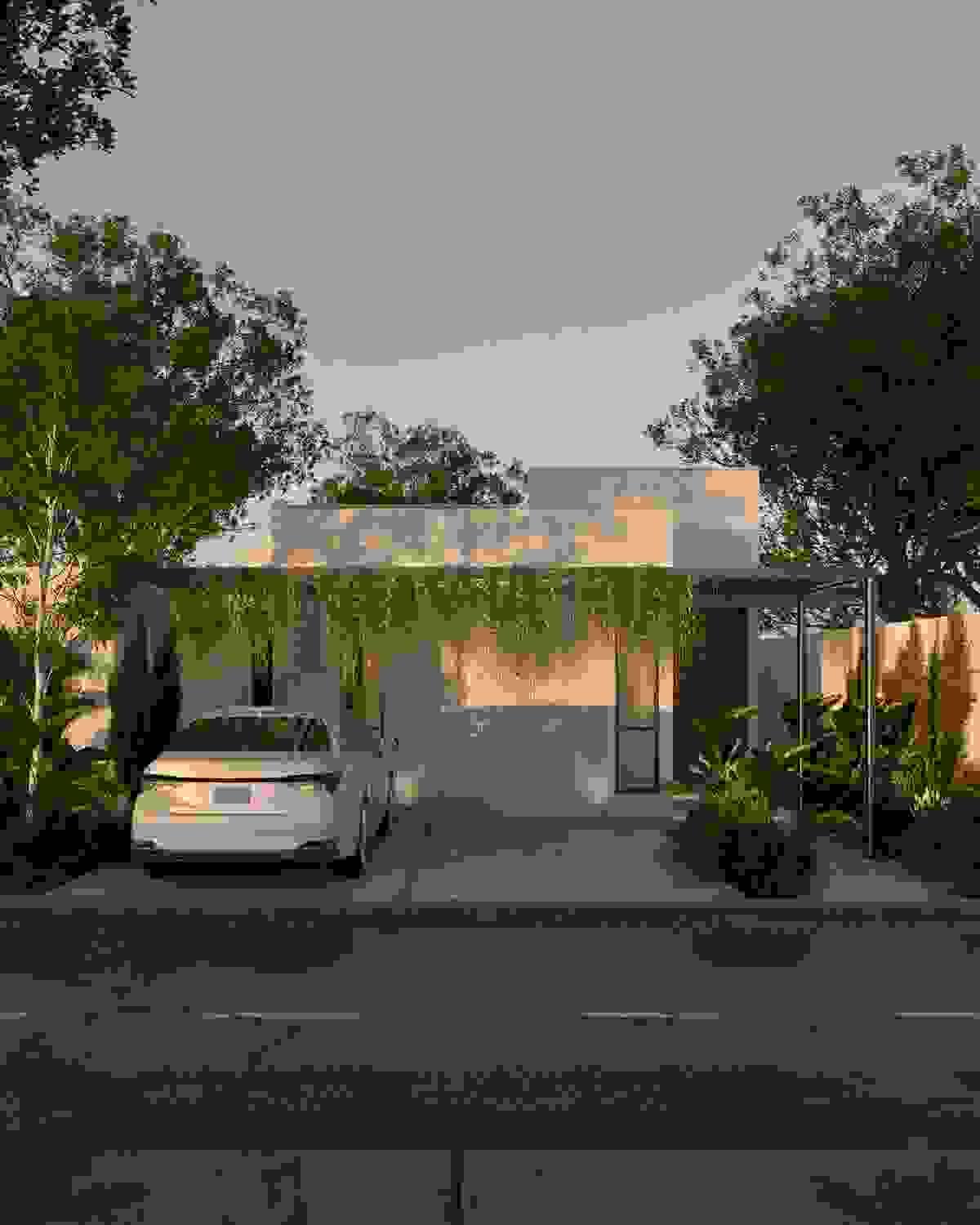 Section image