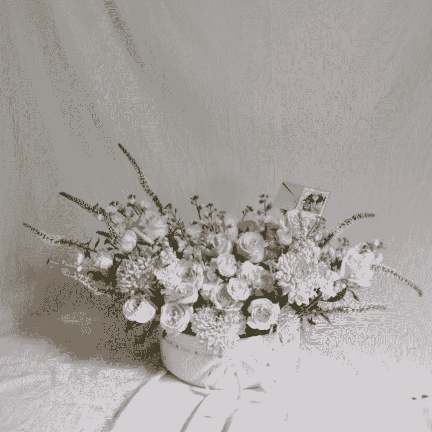 broken image