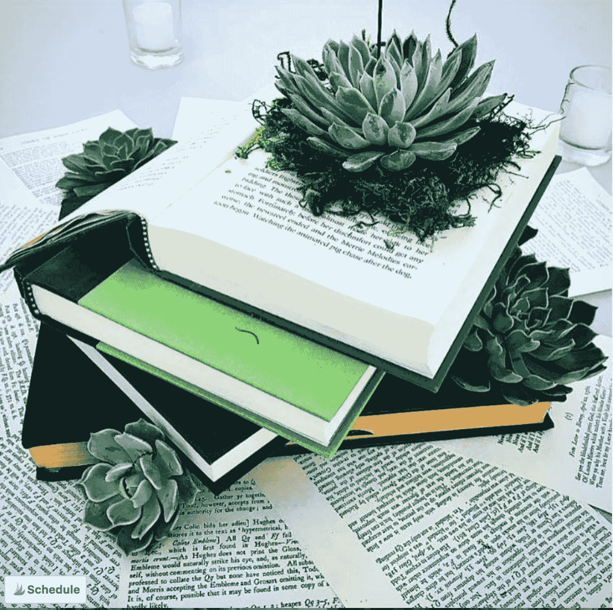 Succulent and book centerpiece from my floral design company. Photo by: Amanda Amble Succulent and book centerpiece from my floral design company. Photo by: Amanda Amble