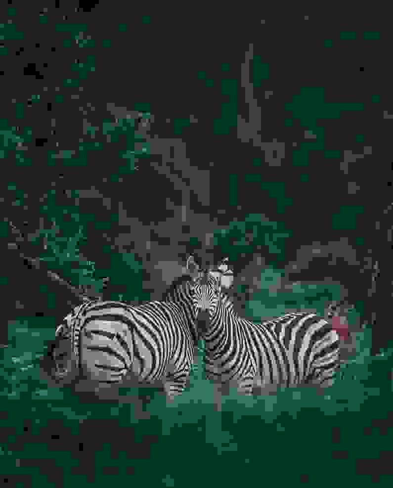 We prioritize sustainability in all our tours, ensuring minimal impact on the environment while maximizing your adventure. Eco-Friendly Adventures What We Offer At Baros Safaris Adventure Uganda, we don’t just show you places — we create moments that stay with you forever. With experienced guides, comfortable travel options, and a commitment to conservation and community, we ensure your journey through Uganda is safe, meaningful, and magical. We prioritize sustainability in all our tours, ensuring minimal impact on the environment while maximizing your adventure. Eco-Friendly Adventures What We Offer At Baros Safaris Adventure Uganda, we don’t just show you places — we create moments that stay with you forever. With experienced guides, comfortable travel options, and a commitment to conservation and community, we ensure your journey through Uganda is safe, meaningful, and magical.