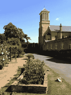Section image