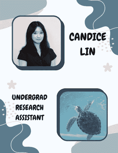 Picture of Candice (an undergraduate research assistant) and their favorite animal, a turtle!! Picture of Candice (an undergraduate research assistant) and their favorite animal, a turtle!!