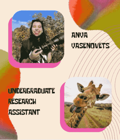 Picture of Anya (an undergraduate research assistant) and their favorite animal, a giraffe!! Picture of Anya (an undergraduate research assistant) and their favorite animal, a giraffe!!