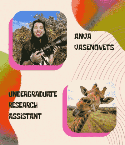 Picture of Anya (an undergraduate research assistant) and their favorite animal, a giraffe!! Picture of Anya (an undergraduate research assistant) and their favorite animal, a giraffe!!