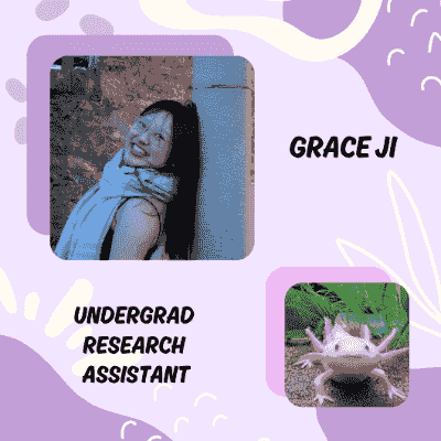 Picture of Grace (an undergraduate research assistant) and their favorite animal, an axolotl!! Picture of Grace (an undergraduate research assistant) and their favorite animal, an axolotl!!