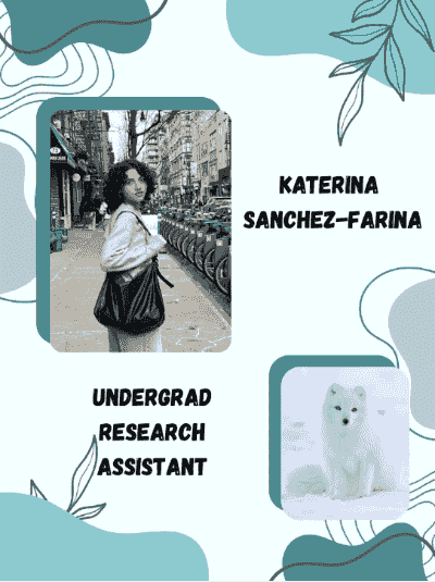 Picture of Katerina (an undergraduate research assistant) and their favorite animal, an arctic fox! Picture of Katerina (an undergraduate research assistant) and their favorite animal, an arctic fox!