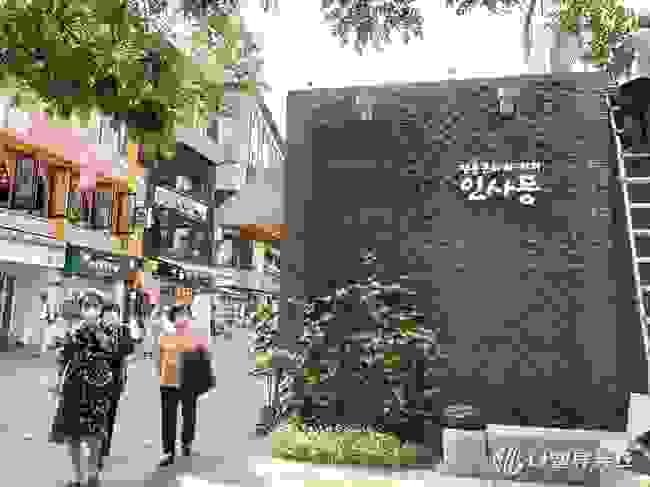 broken image