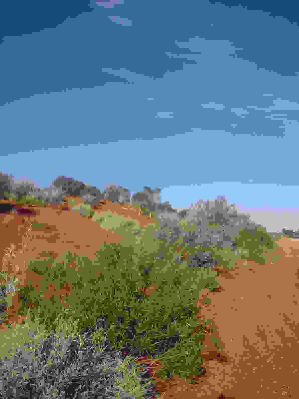 Section image