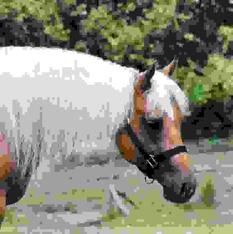 broken image