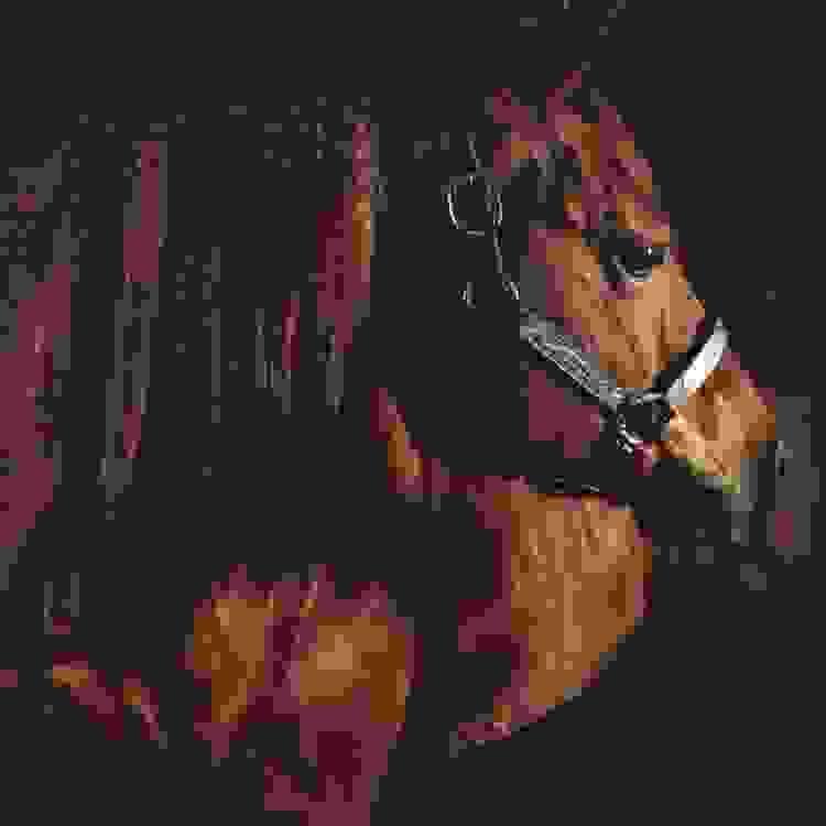 broken image