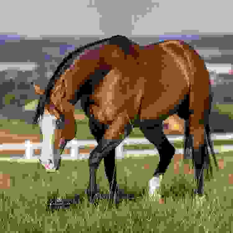 broken image