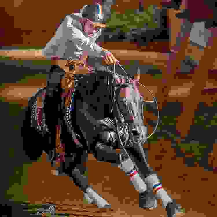 broken image