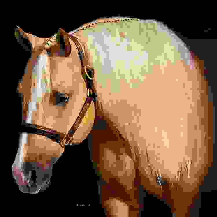 broken image
