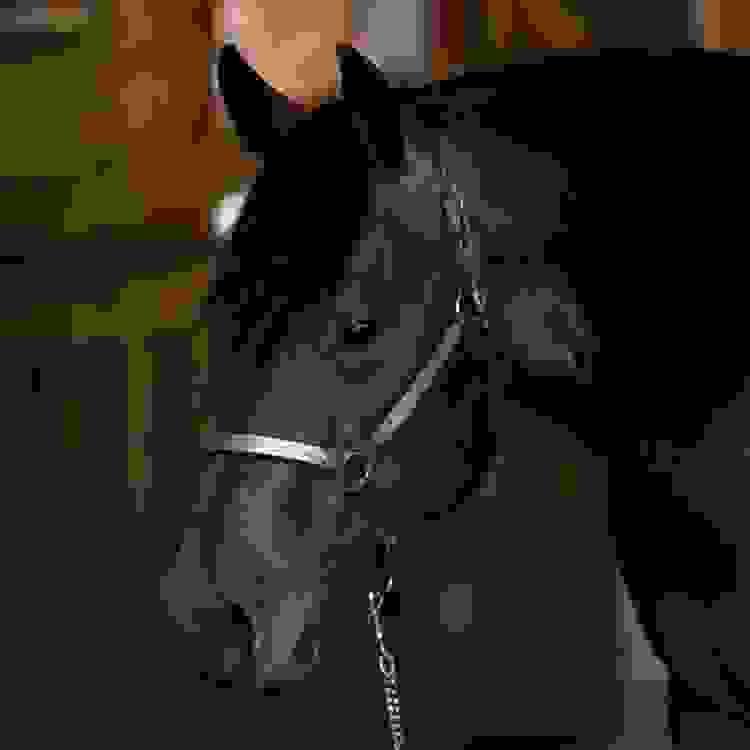 broken image