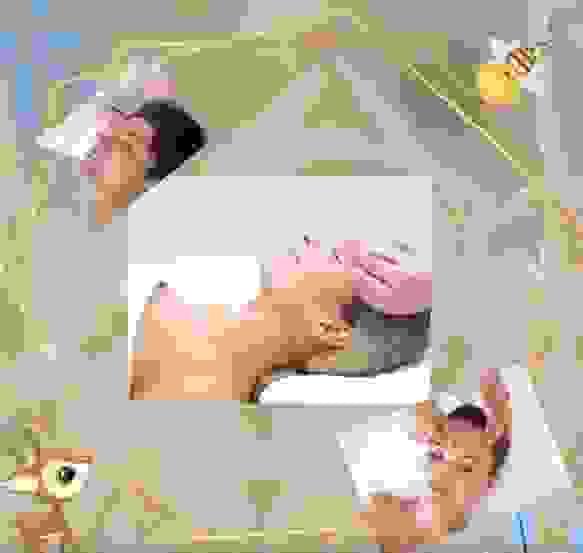 Section image