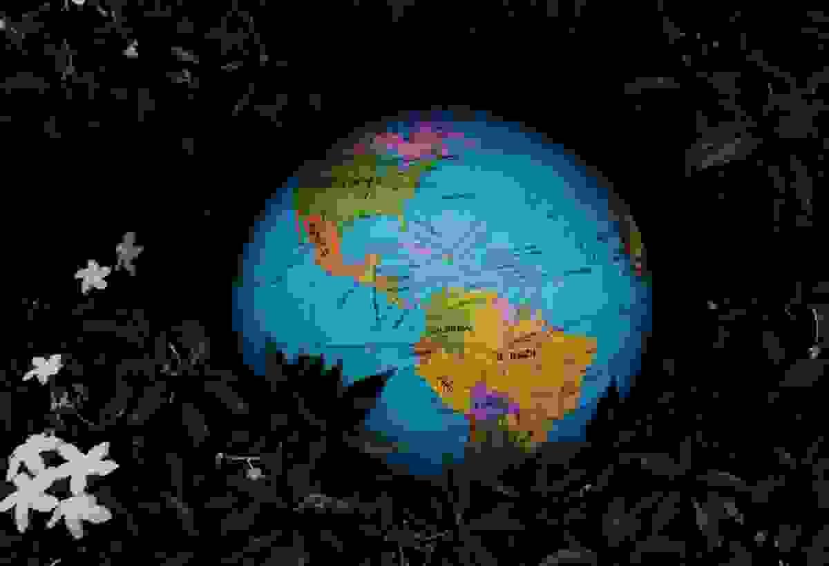 Section image