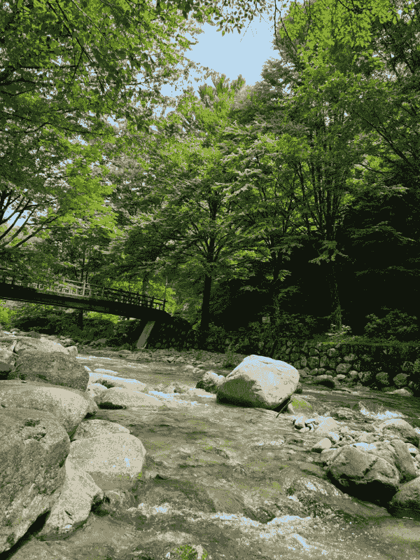 Section image