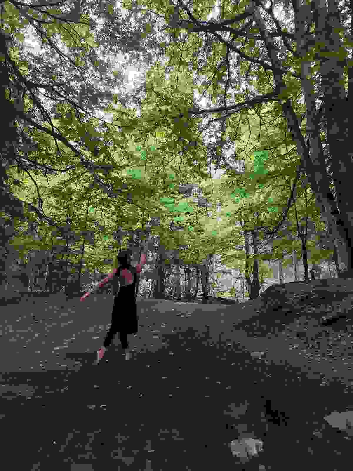 Section image