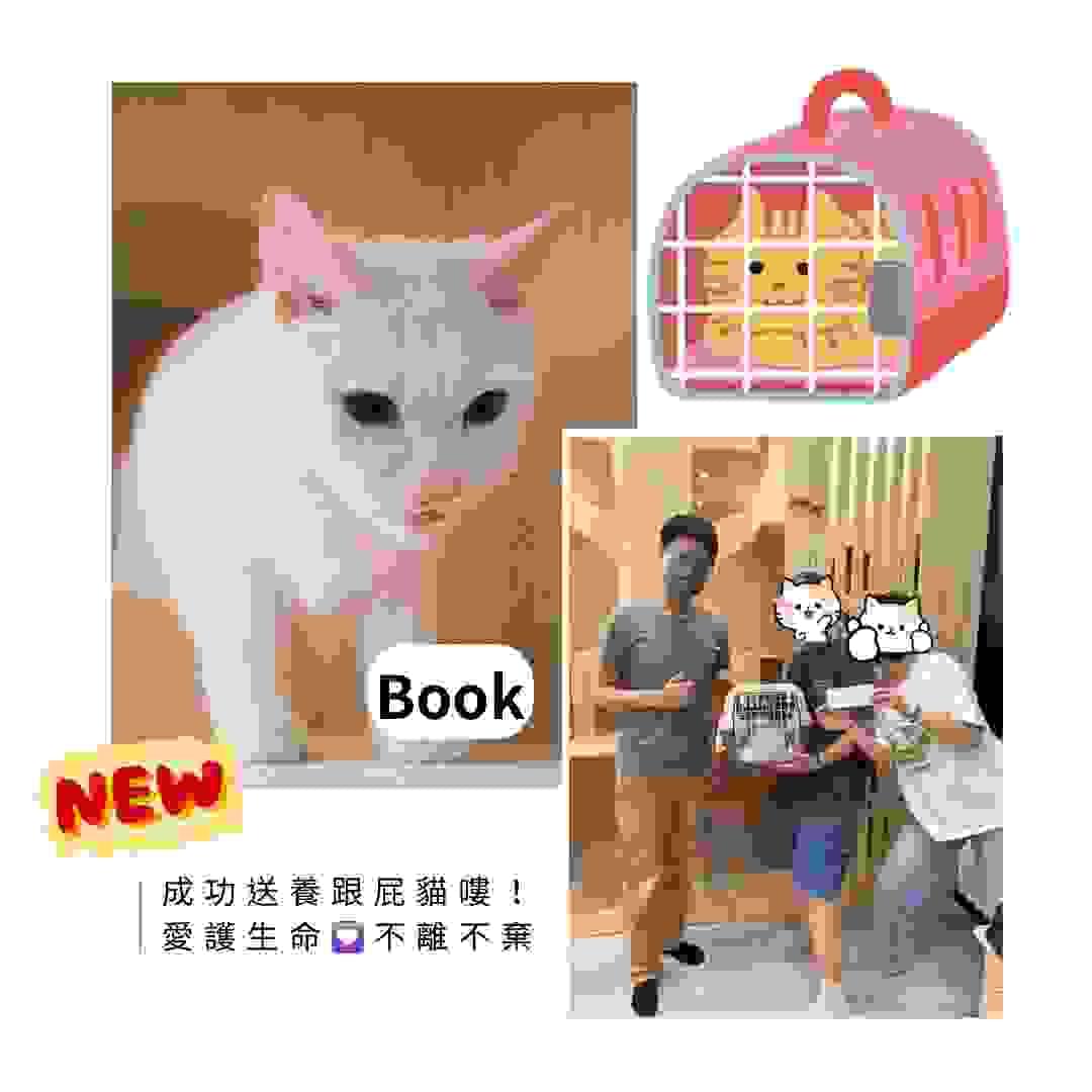 broken image
