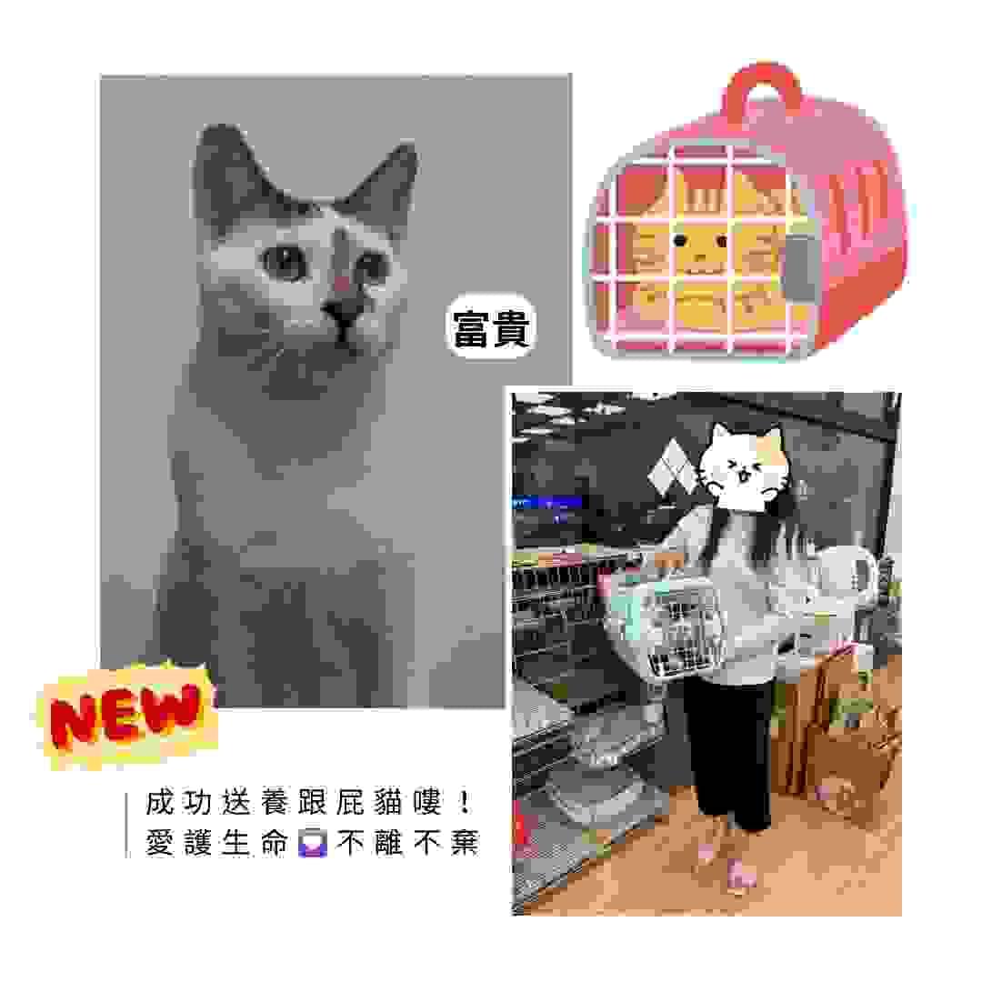broken image