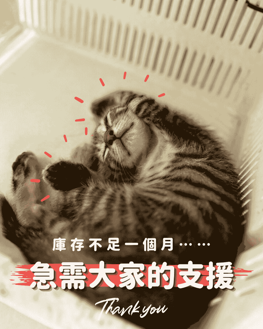 broken image