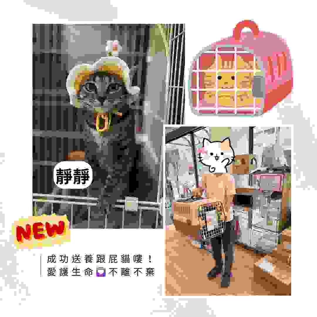 broken image