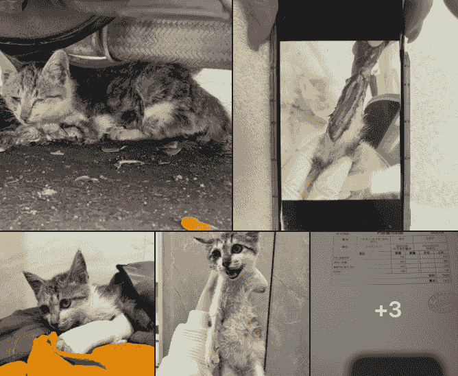 broken image