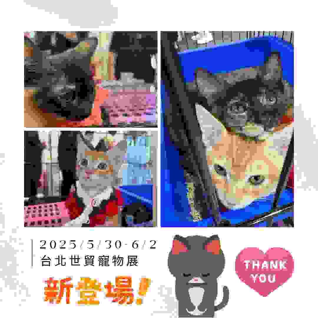 broken image