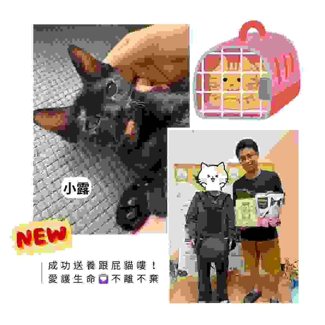 broken image