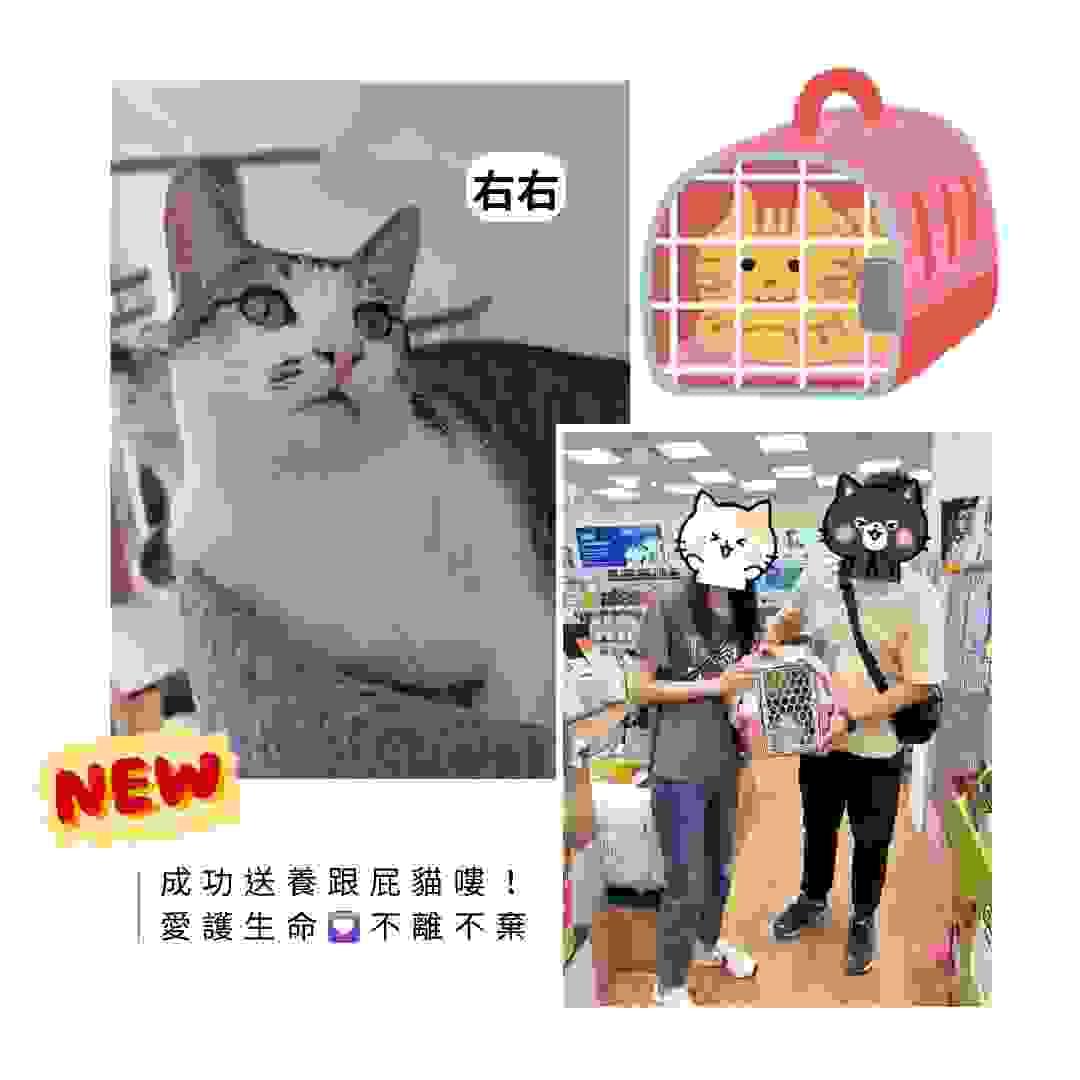 broken image