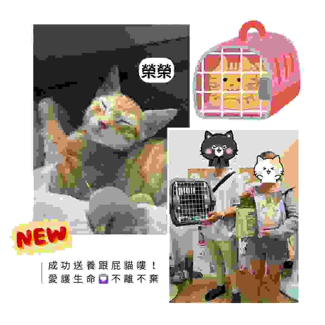 broken image