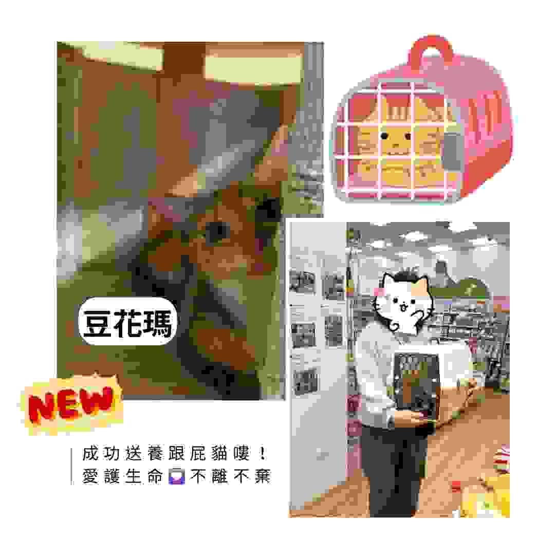 broken image