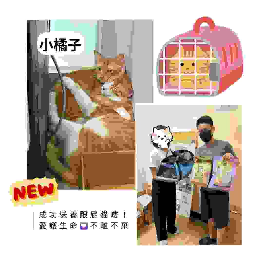 broken image